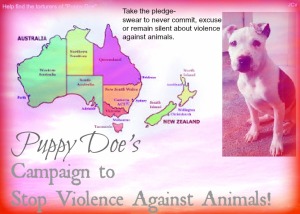 For all Puppy Doe's Australian Ambassadors.