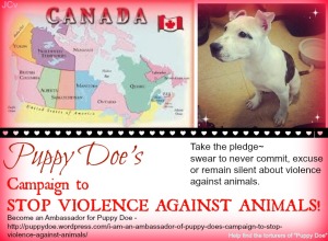 Puppy Doe's Canadian Ambassadors.