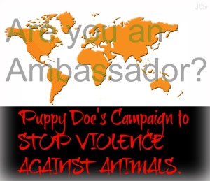 Please add your picture or name to become a an Ambassador for Puppy Doe's Campaign to Stop Violence Against Animals. Help Puppy Doe’s Campaign to Stop Violence Against Animals Puppy Doe was brutally tortured and in her memory we want to help animals. Please post your picture to become an Ambassador of Puppy Doe’s Campaign to Stop Violence Against Animals. Thankyou for helping to spread this very important issue worldwide.
