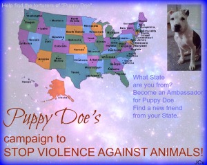 Puppy Doe's Campaign to STOP VIOLENCE AGAINST ANIMALS.